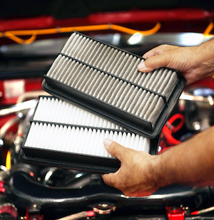Engine Air Filters & Cabin Filters